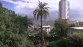 Palm trees and tower-blocks