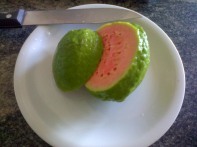 Guayaba, or Guava, Fruit