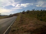 Horses on the roadside to Lapinha da Serra